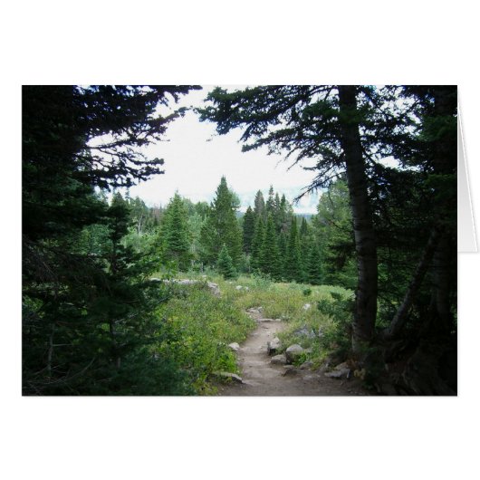 Sentier Grand Teton (Devant horizontal)