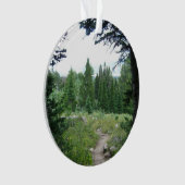 Sentier Grand Teton (devant)