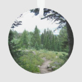 Sentier Grand Teton (dos)