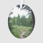 Sentier Grand Teton (devant)