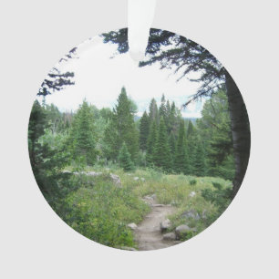 Sentier Grand Teton