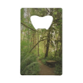 Sentier paisible de la forêt verte dans le Washing (Dos)