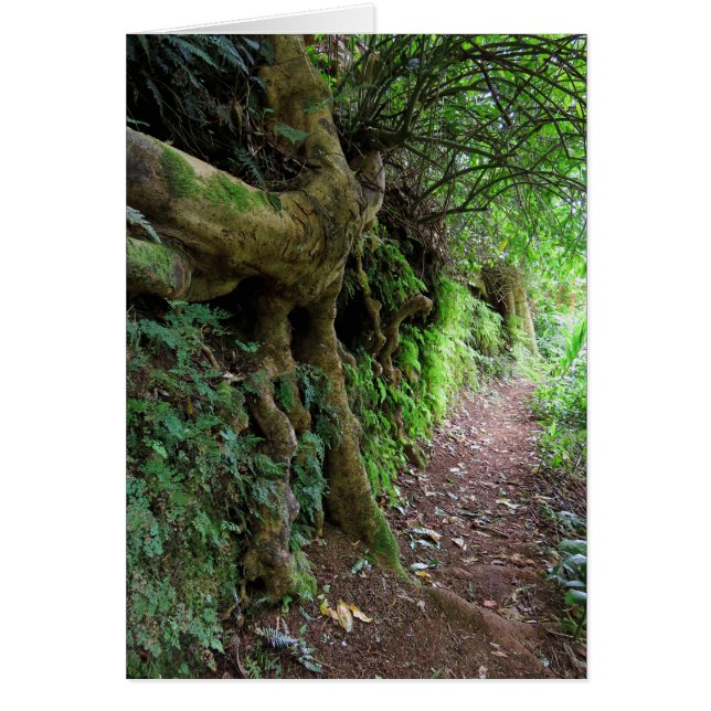 Sentier Randonnée hawaïen (Devant)