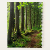 Sentier Scénique de la Forêt Verte (Dos)