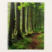 Sentier Scénique de la Forêt Verte (Devant)