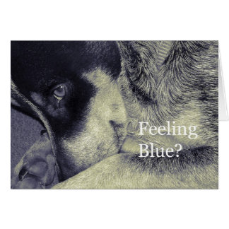 Sentiment bleu
