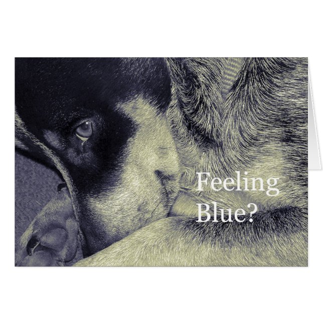 Sentiment bleu (Devant horizontal)