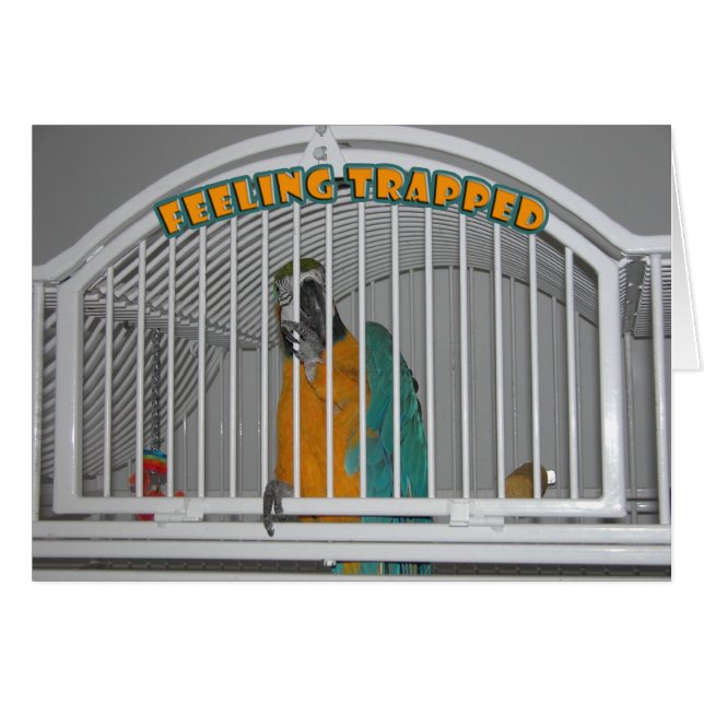 Sentiment emprisonné (Devant horizontal)