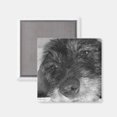 Sentimentaal Magneet (Voorkant / Achterkant)