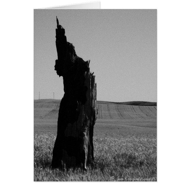Sentinal (Devant)
