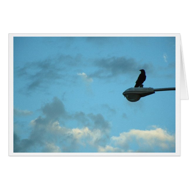 Sentinel (Voorkant Horizontaal)