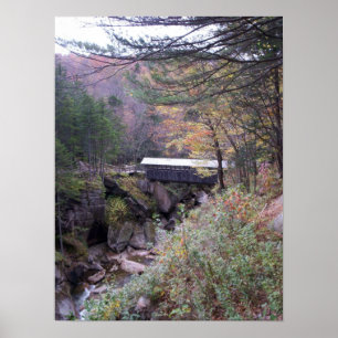 Sentinel Bridge Herfst Foliage Poster