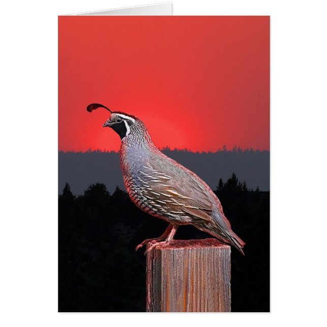 SENTINELLE AU COUCHER DU SOLEIL (Devant)