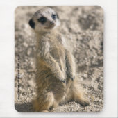 Sentinelle dans le tapis de souris de formation (Devant)