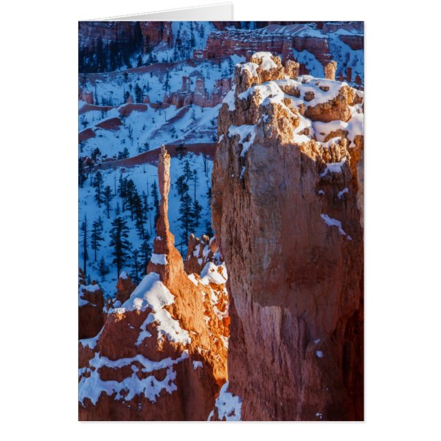 Sentinelle d'hiver (Devant)