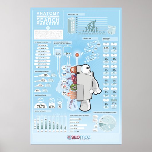 SEOmoz 2010 Industry Survey Poster (Voorkant)