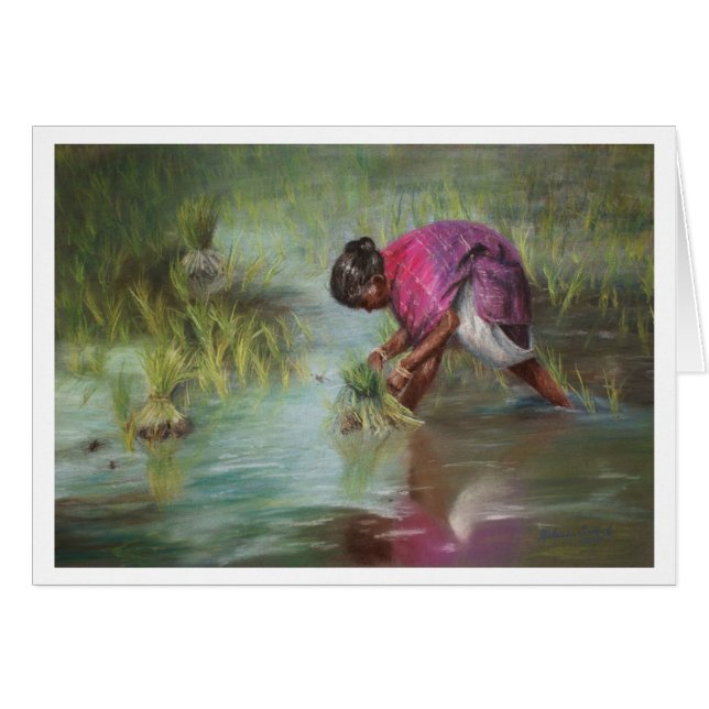 Séparation des paquets de riz (Devant horizontal)