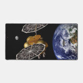 Séparation Du Véhicule D'Entrée Sur Une Mission Ma (Recto)