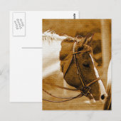 Sephia Horse Mosaics Briefkaart (Voorkant / Achterkant)