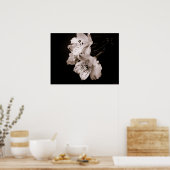 Sepia Alstroemeria Lily Poster (Cuisine)