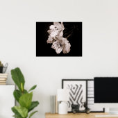 Sepia Alstroemeria Lily Poster (Bureau à domicile)