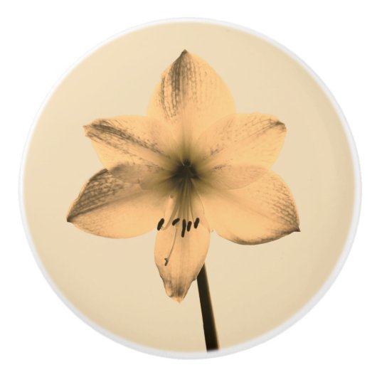 Sepia amaryllis keramische knop (Voorkant)