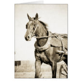 Sepia Amish Cheval Et Buggy (Devant)