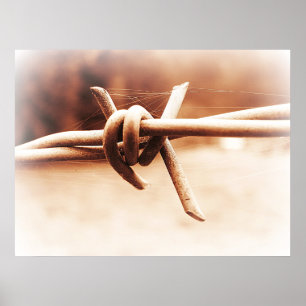 Sepia Barbwire sluit Fotografisch Poster