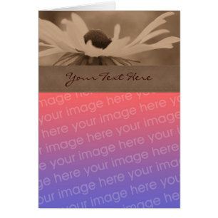 Sepia Black Eyed Susan Flower Carte photo