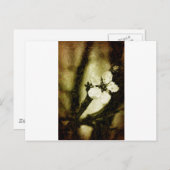 Sepia cherry blossom briefkaart (Voorkant / Achterkant)