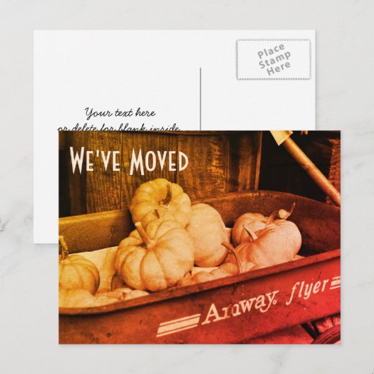 Sepia Citrouilles Nouvelle adresse Carte postale (Devant / Derrière)