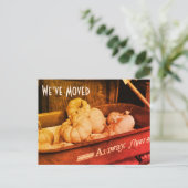 Sepia Citrouilles Nouvelle adresse Carte postale (Debout devant)