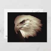 Sepia Color Bald Eagle Briefkaart (Voorkant / Achterkant)