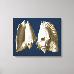 Sepia Conch Seashells Canvas Afdruk