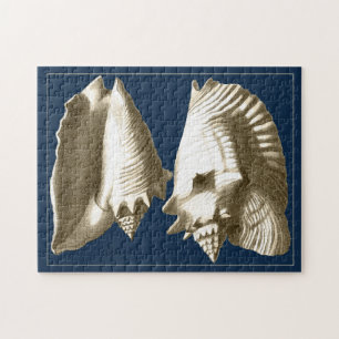 Sepia Conch Seashells Legpuzzel