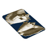 Sepia Conch Seashells Magneet (Rechterzijde)