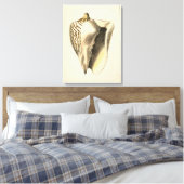  Sepia Conch Shell Canvas Afdruk (Insitu (Slaapkamer))