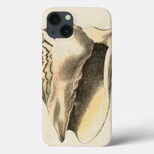 Sepia Conch Shell iPhone 13 Hoesje