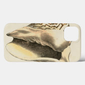 Sepia Conch Shell Case-Mate iPhone Case (Achterkant (horizontaal))