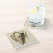  Sepia Conch Shell Glazen Onderzetter (Schuin)