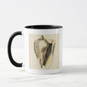 Sepia Conch Shell Mok (Links)