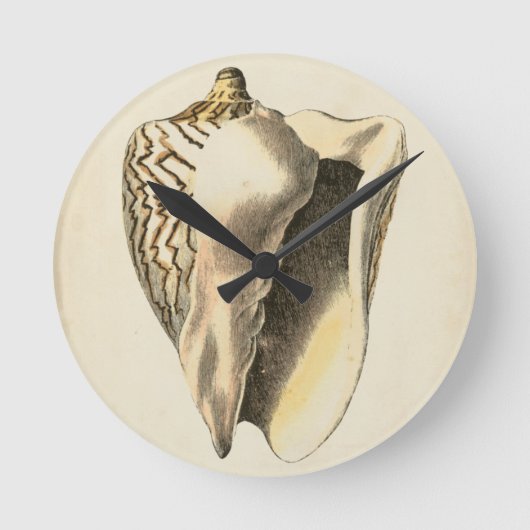 Sepia Conch Shell Ronde Klok (Voorkant)