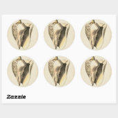  Sepia Conch Shell Ronde Sticker (Vel)