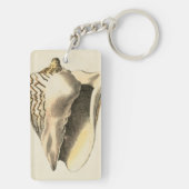 Sepia Conch Shell Sleutelhanger (achterkant)