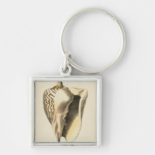  Sepia Conch Shell Sleutelhanger