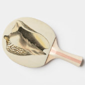  Sepia Conch Shell Tafeltennisbatje (Zijkant)