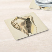Sepia Conch Shell Vierkante Kartonnen Onderzetter (Schuin)