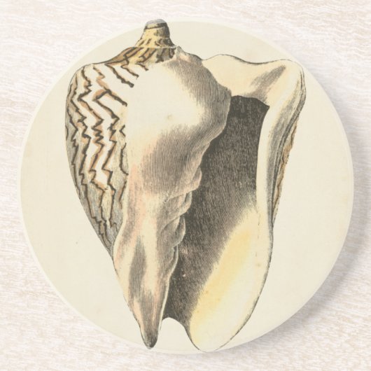 Sepia Conch Shell Zandsteen Onderzetter (Voorkant)