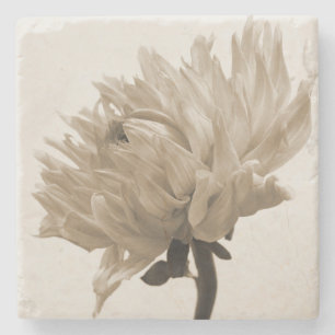 sepia dahlia stenen onderzetter