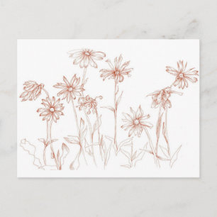 Sepia Daisies Pen en Inkt Bloem Tekening Briefkaart